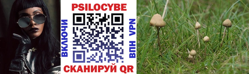 Купить закладки Черепаново Псилоцибиновые грибы Cubensis
